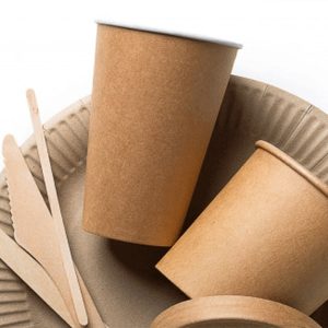 کاربردهای ظروف گیاهی